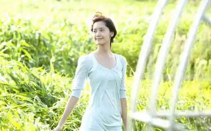 韩国 朋友家的麦子：生活中小细节的美好与启示