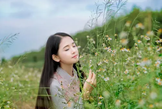 含苞待宠花婉柔镇国公