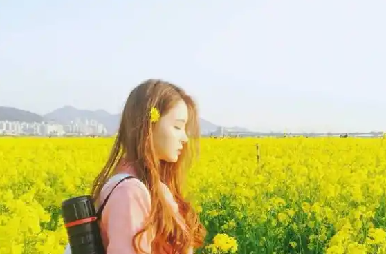 骚狐视频：色彩与性能的双重考量